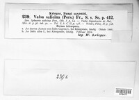Valsa salicina image